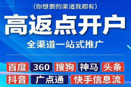 关键词竞价排名策略案例分析